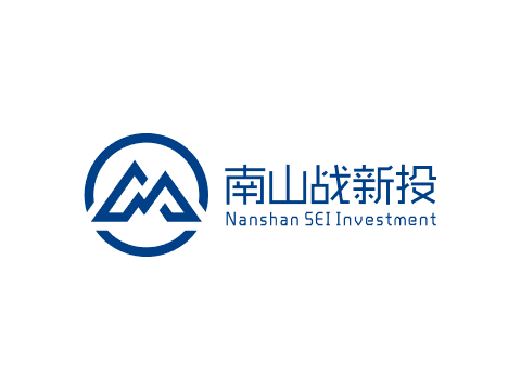南山战新投